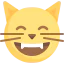 Cat icon 64x64