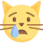 Cat icon 64x64