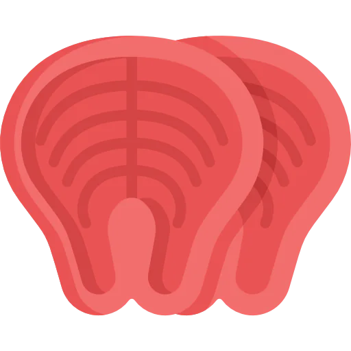 Salmon icon