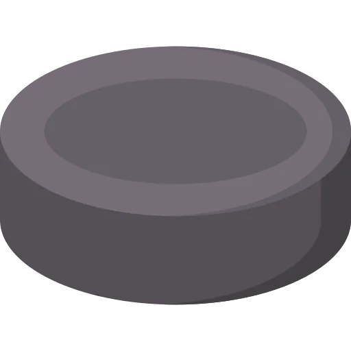 Puck icon