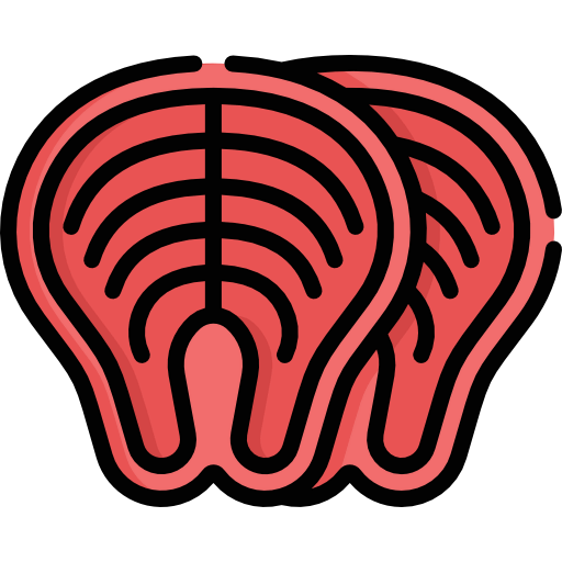 Salmon icon