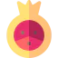 Pomegranate icon 64x64