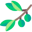 Оливковое иконка 64x64