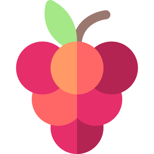 Grape icon