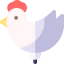 Chicken biểu tượng 64x64