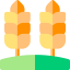 Пшеница иконка 64x64