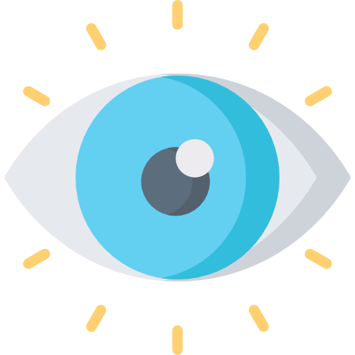 Visibility icon
