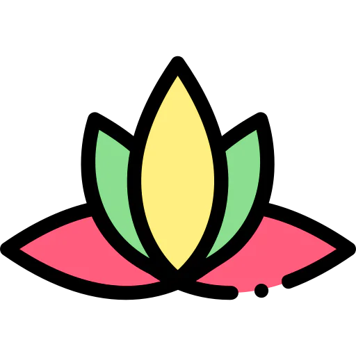 Spa icon