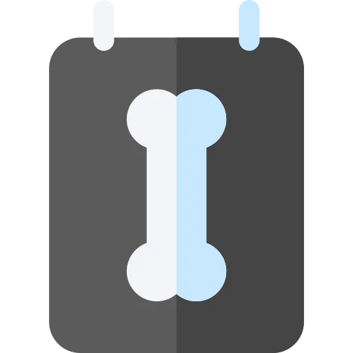 X ray icon