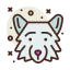 Wolf icon 64x64