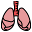 Lungs ícono 64x64
