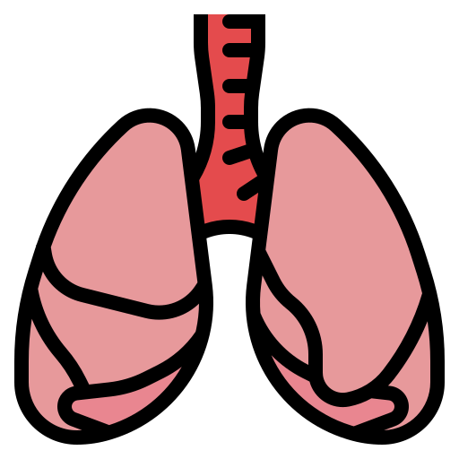 Lungs icon