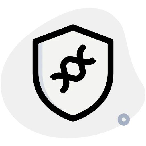 Secure icon