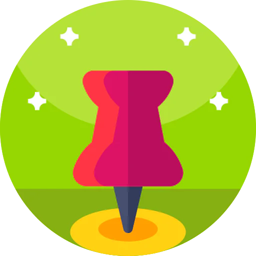 Pin icon