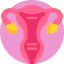 Uterus icon 64x64