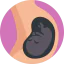 Pregnancy icon 64x64