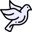 Dove icon 64x64