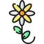 Flower icon 64x64