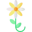 Flower icon 64x64