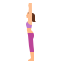 Salute Ikona 64x64
