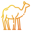 Dromedary icon 64x64