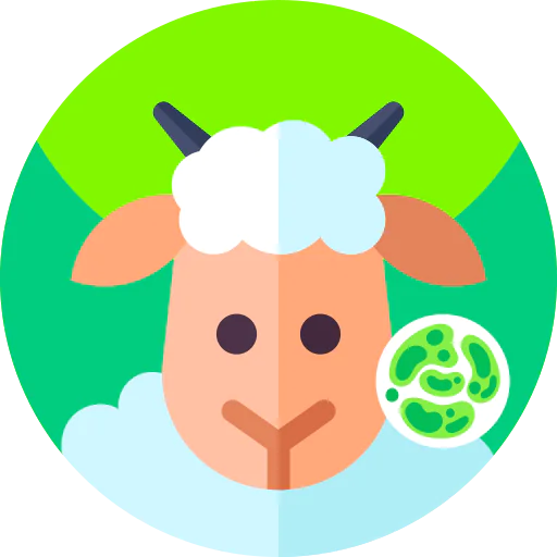 Sheep icon
