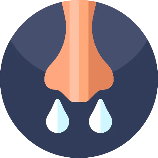Flu icon