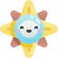 Windrose icon 64x64