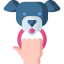 Play with pet icon 64x64
