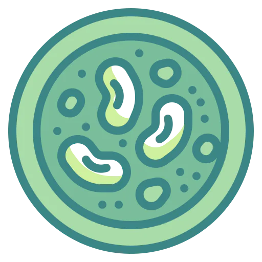 Bean icon