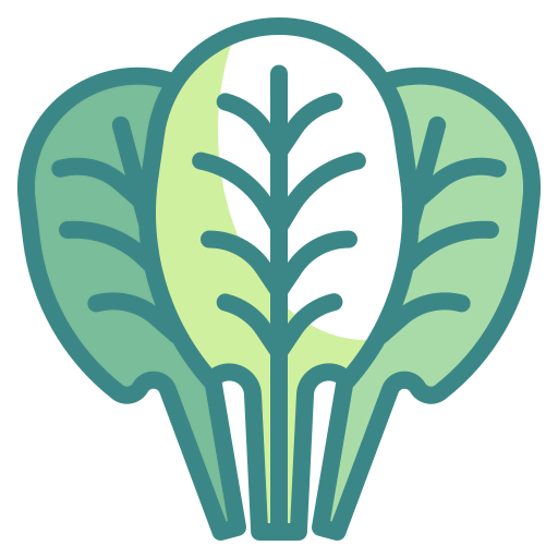 Spinach icon