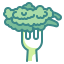 Vegan Ikona 64x64