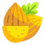 Almonds icon 64x64