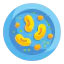 Bean icon 64x64