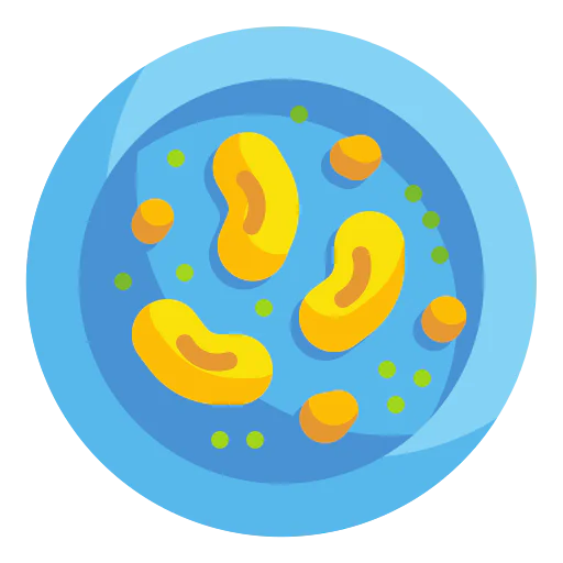 Bean icon