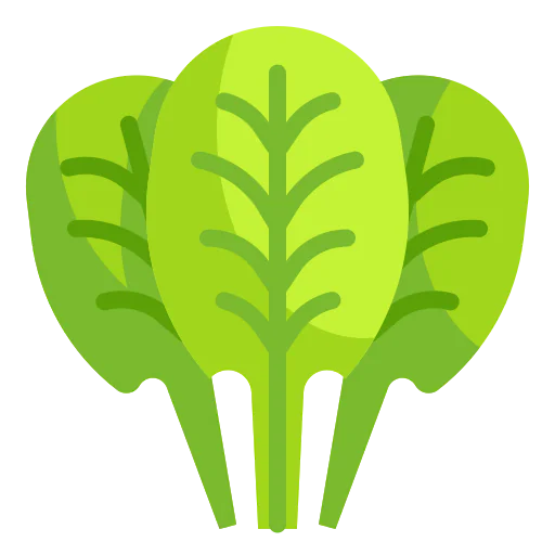 Spinach icon