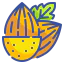 Almonds icon 64x64