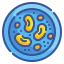 Bean icon 64x64