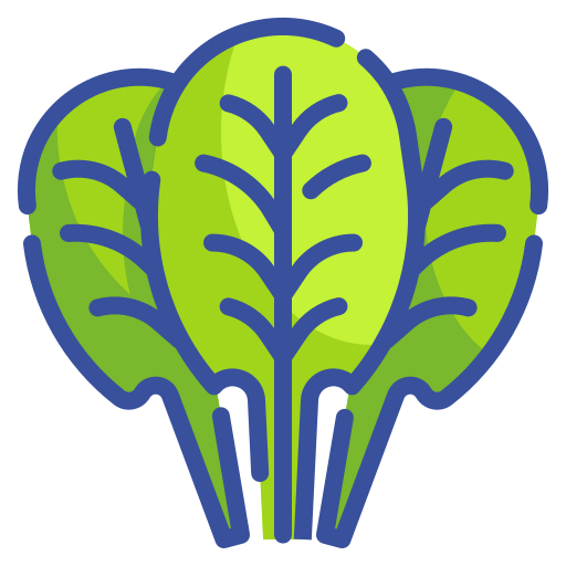 Spinach icon