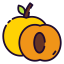 Apricot icon 64x64