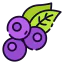 Blueberry icon 64x64