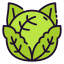 Cabbage icon 64x64