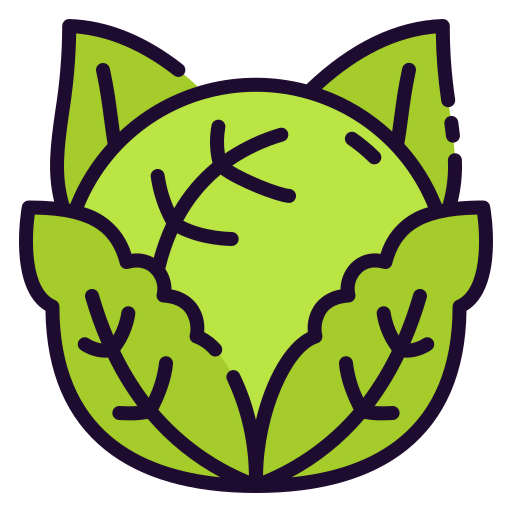 Cabbage icon
