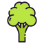 Cauliflower icon 64x64