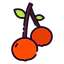 Cherry icon 64x64