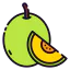 Melon icon 64x64