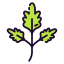 Parsley icon 64x64