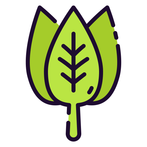 Spinach icon