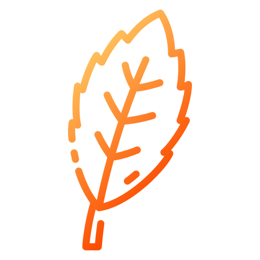 Basil icon