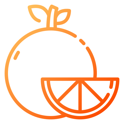 Orange icon